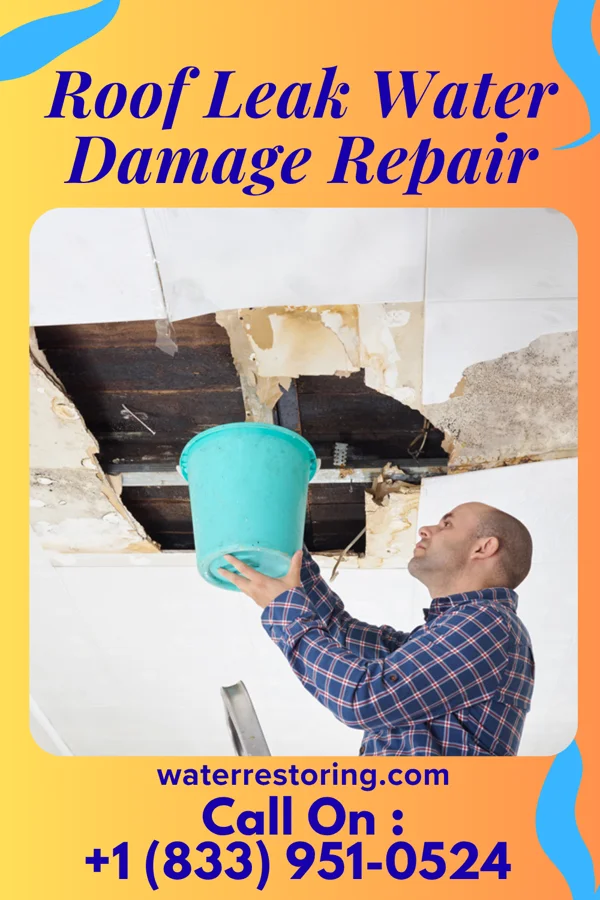 Roof Leak Water Damage Repair in Riverdale, UT